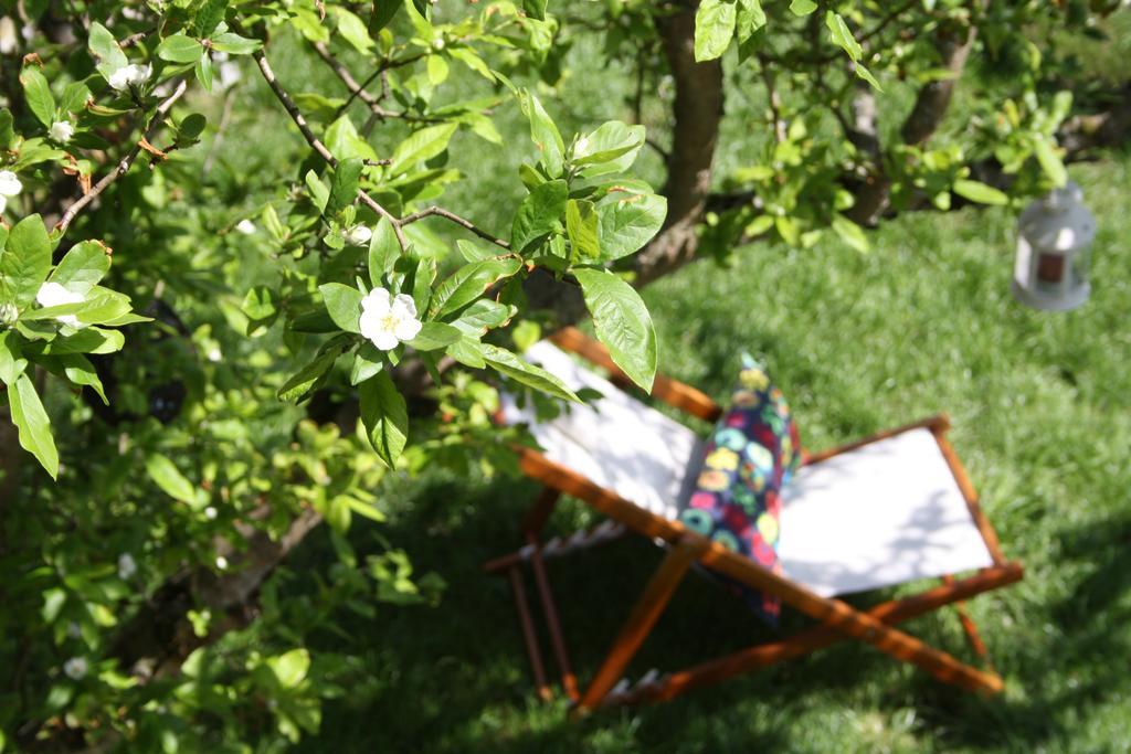Casa Rural La Riba Sames Zewnętrze zdjęcie